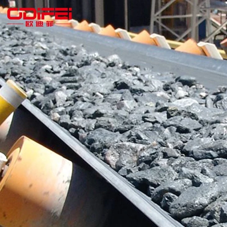 building belt conveyor (5)