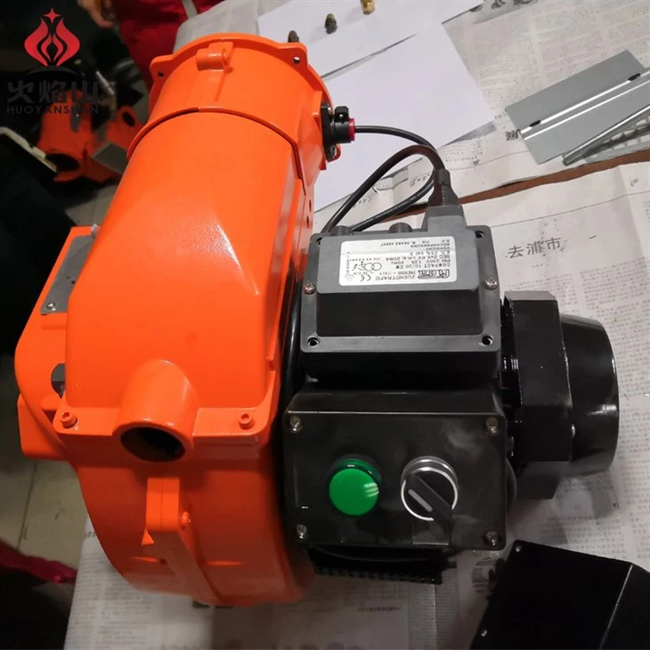 Diesel Heavy Oil Burner (2)