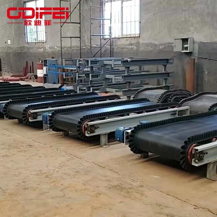 Skirt baffle conveyor (4)