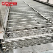 Cleaning Chain Conveyor