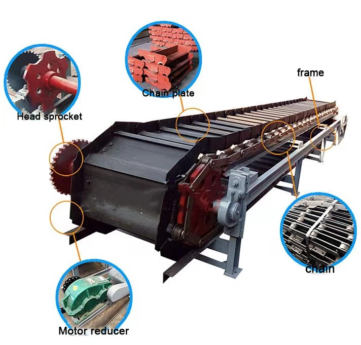 plate feeder structure plate feeder structure