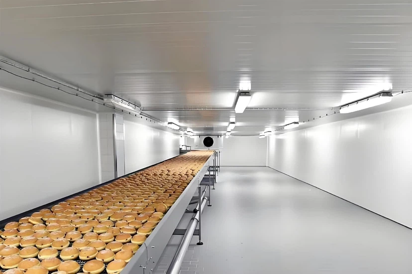 belt conveyor belt conveyor